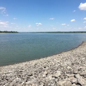 Meet your Posher, Maggie